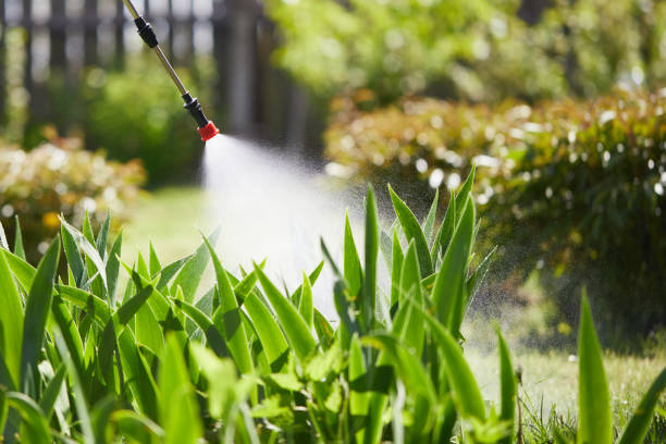Tamper-Resistant Bait Stations for Rodents in South Apopka