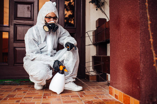 Attic and Crawl Space Rodent Treatment in South Apopka